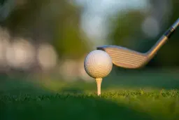 2026 FORE THE PAWS Charity Golf Outing