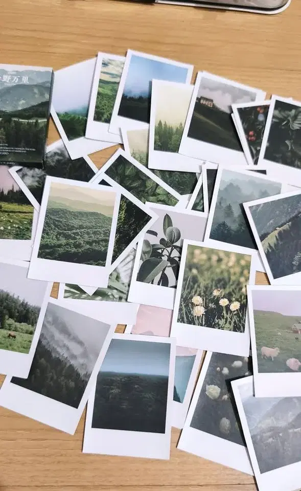 Pinhole camera and polaroid workshop