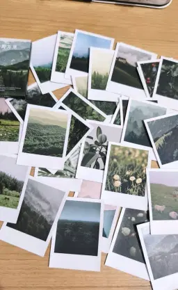 Pinhole camera and polaroid workshop