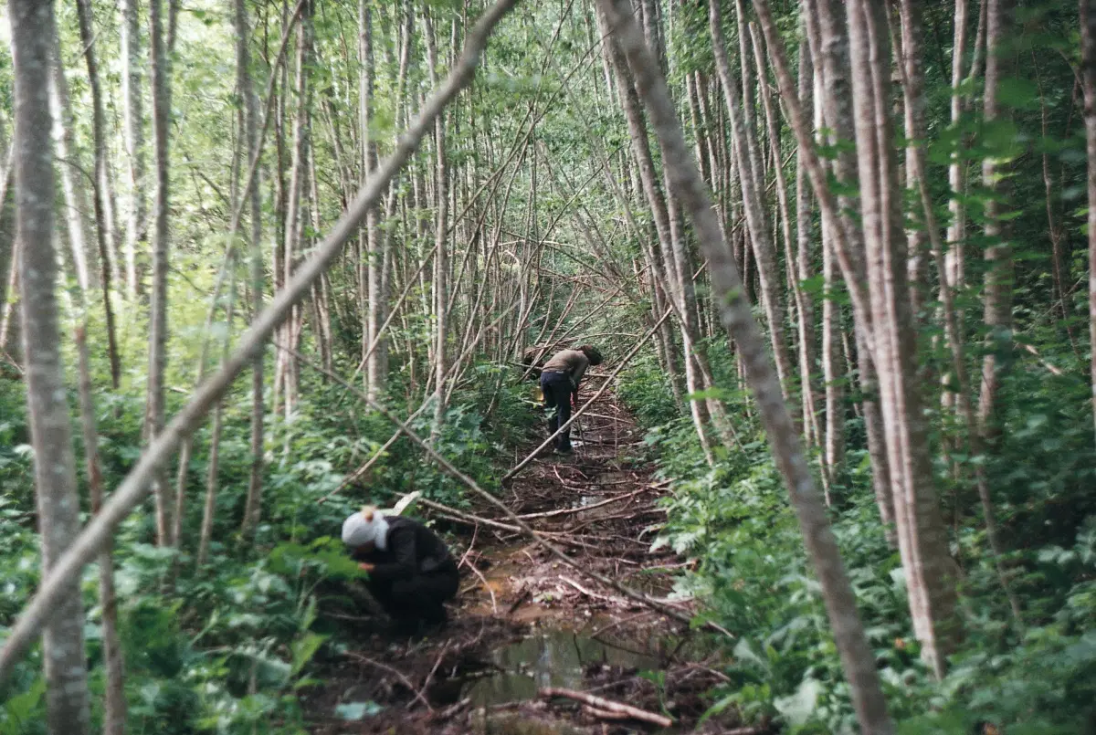 Üleelamine suvises looduses baaskursus 2026