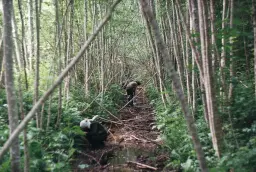 Üleelamine suvises looduses baaskursus 2026