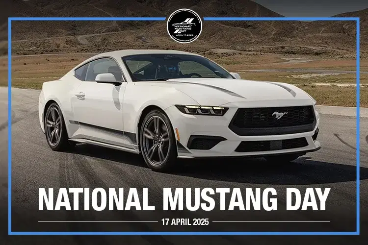 Activity-Rainbow Pennant, Inc.-National Mustang Day