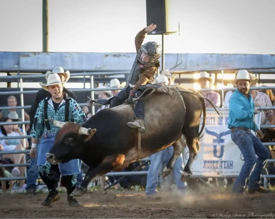 Bulls & Barrels Rodeo