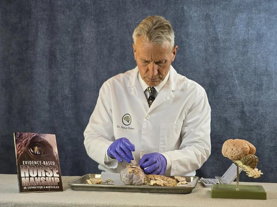 Horse Brain Science with Dr. Steve Peters!