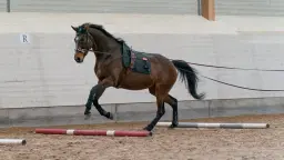 Tömkörning för rehab och friskvård - RUNSTEN