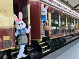 Grapevine Vintage Railroad Easter Bunny Express