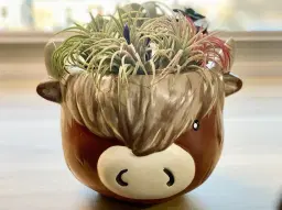 Paint-a-Cow Planter Workshop