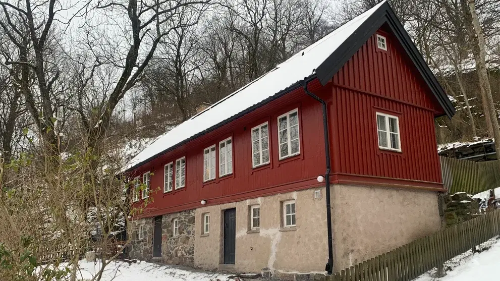 Luderkupor och styckmord