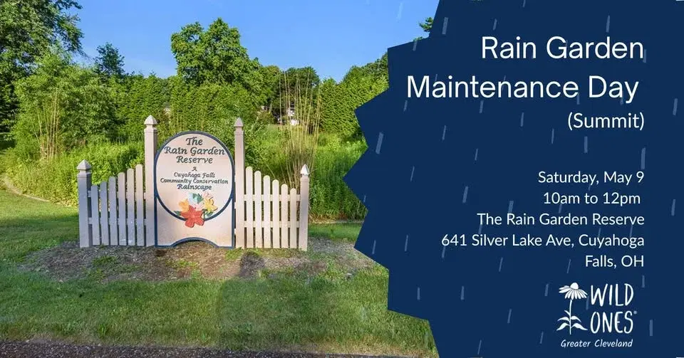Cuyahoga Falls Rain Garden Maintenance Day (Summit)