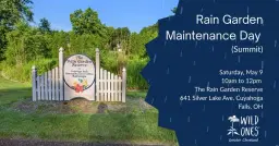 Cuyahoga Falls Rain Garden Maintenance Day (Summit)