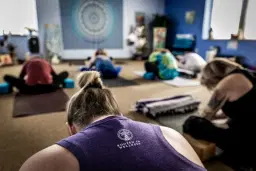 Yoga for Neck and Shoulder Relief - Special Event