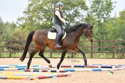 Polework clinic at RDA National Training Centre