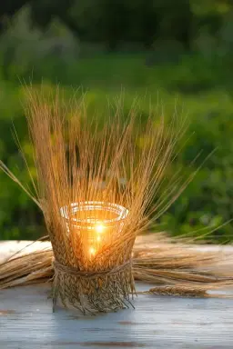 Lammas Lughnasadh Festival