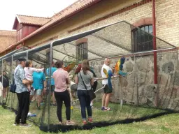 FÅGELSLÄPP I TORUP