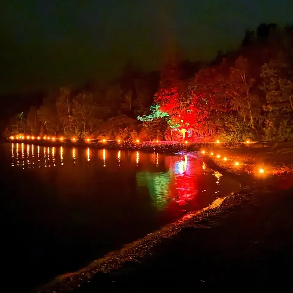 The Shadow Of The Dark Shaman 2026