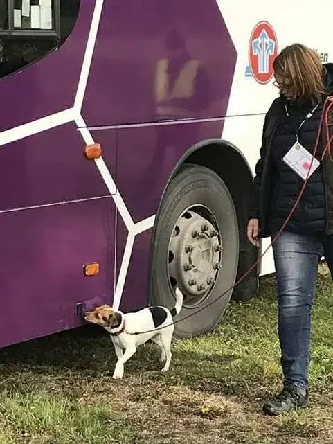Nw helg klass 2-3 med Helena och Jocke Bolin