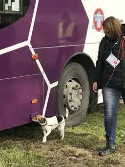 Nw helg klass 2-3 med Helena och Jocke Bolin