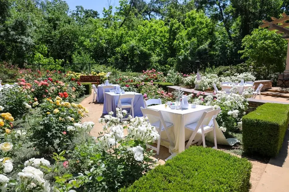 Rose Garden Party