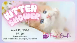 Kitten Shower 2026