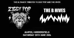 Ziggy Pop and The B Hives Live @ Amped, Huddersfield