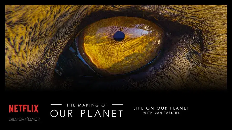 Netflix’s The Making of Our Planet: Life on our Planet