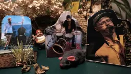 På hörnet med DIMMING//GAMMELGAARD//VALLGREN