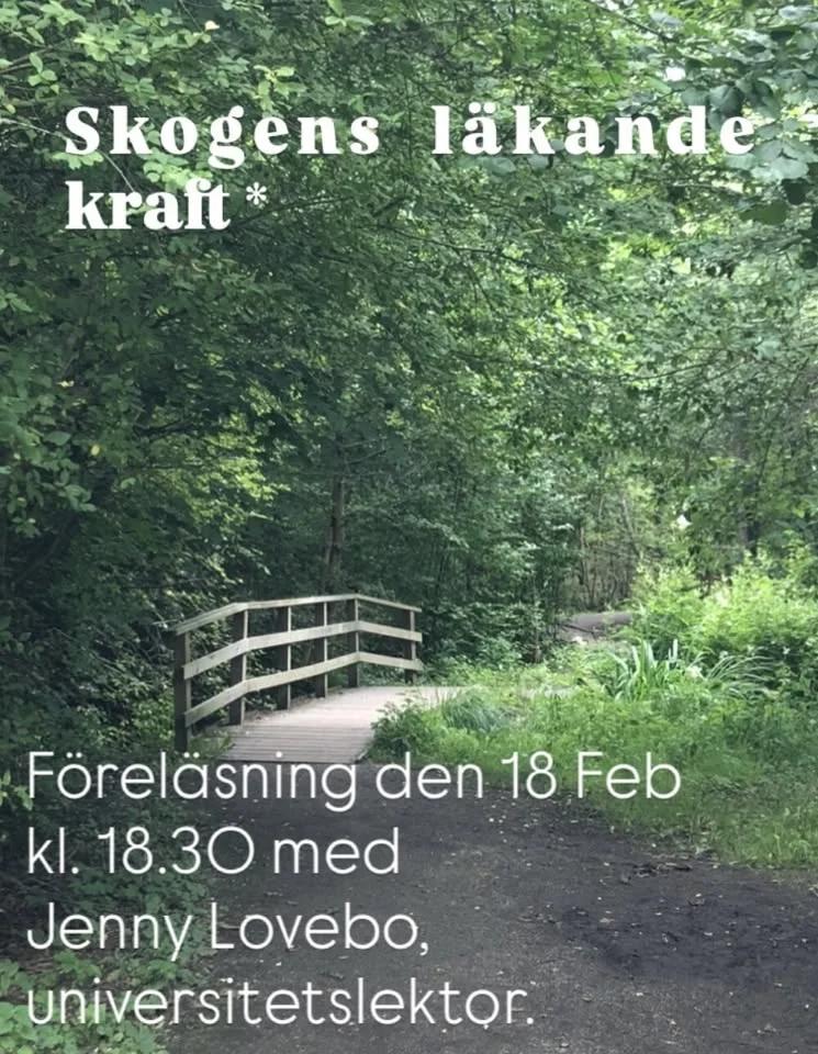 Skogens lÀkande kraft