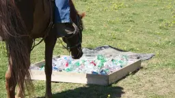 Obstacles and precision riding