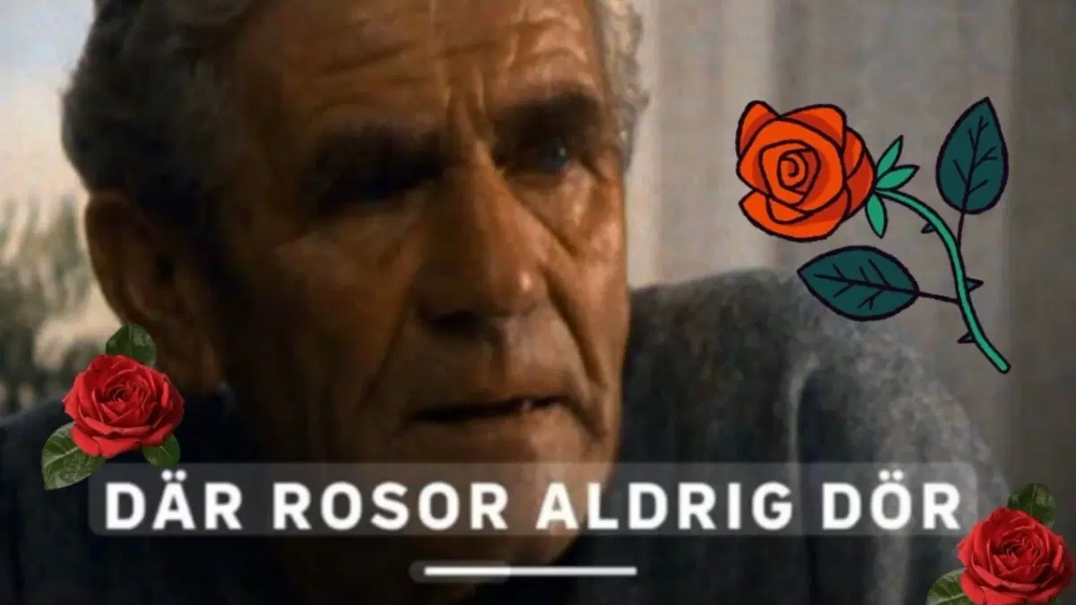 Filmen "Där Rosor Aldrig Dör" och Kaffe m. Dopp