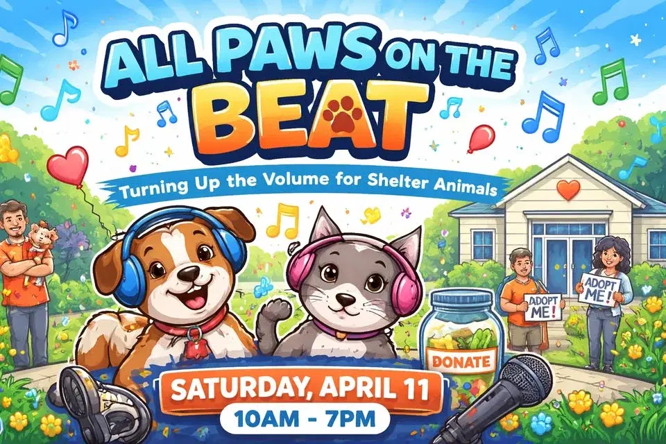 All Paws on the Beat