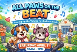All Paws on the Beat