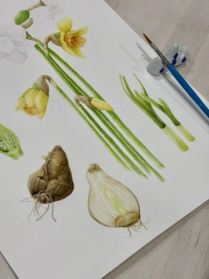 The Art of Botanical Watercolor