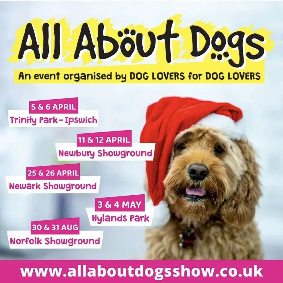 All About Dogs Show Trinity Park, Ipswich