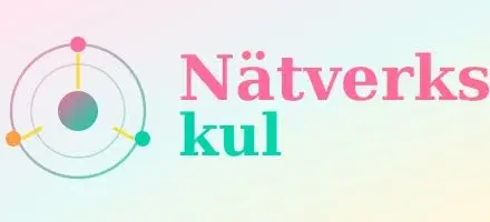 đž Lanserings- & VĂ„rfest med NĂ€tverkskul đž