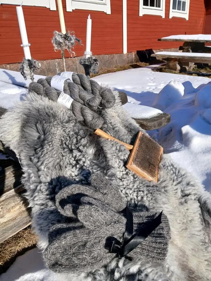 Öppet hus hos Görvälnlammet