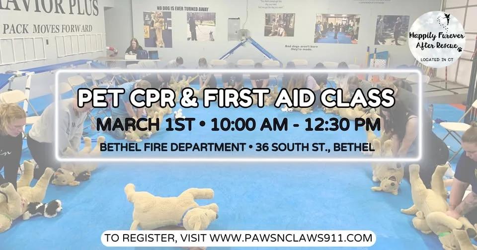 Pet CPR & First Aid Class 🐶🐱⚕️