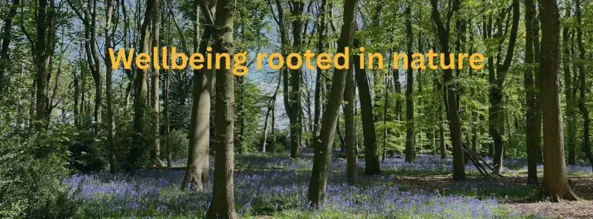 Spring foraging walks