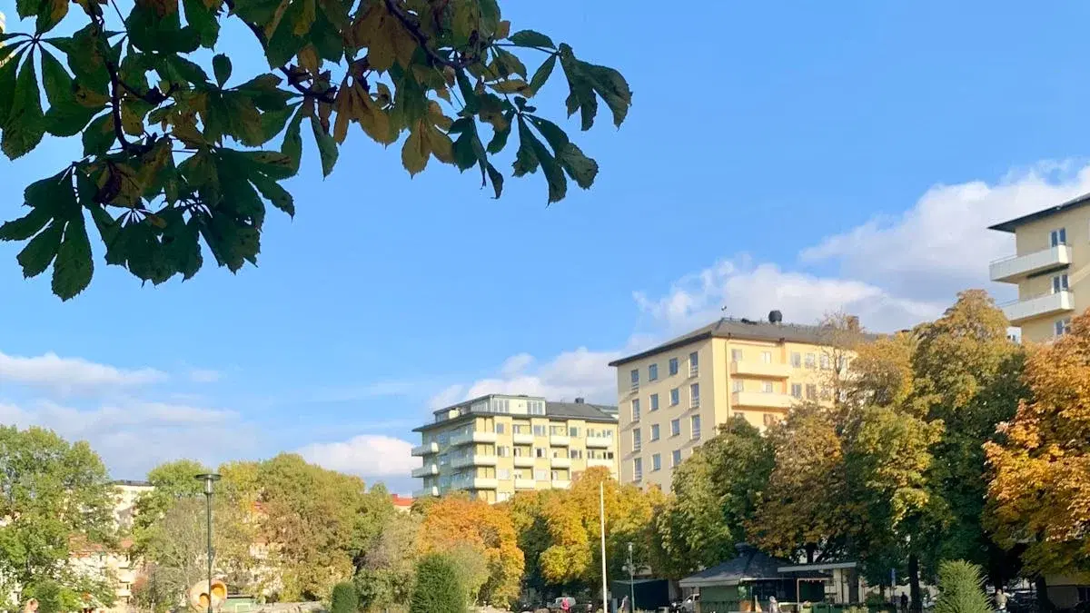 Gärdet - i funktionalismens tidevarv