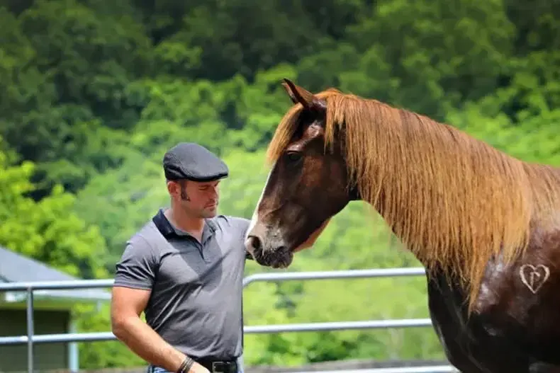 Patrick King Horsemanship Clinic: Classical Principles for Modern Riders