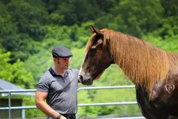 Patrick King Horsemanship Clinic: Classical Principles for Modern Riders