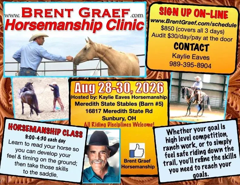 ✨Horsemanship with Brent Graef✨