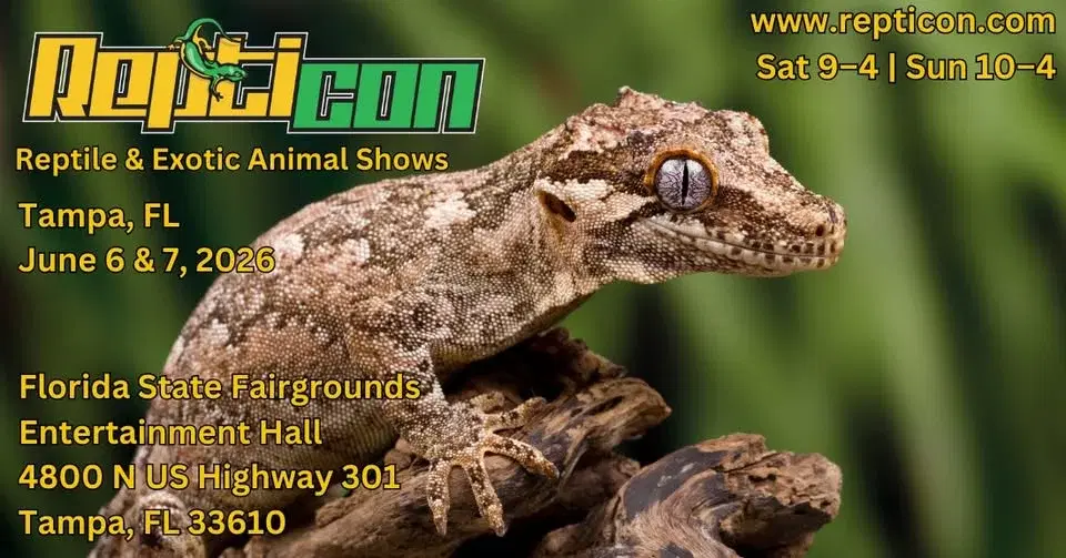 Repticon Tampa
