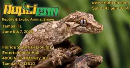 Repticon Tampa