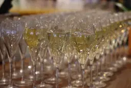 Ibiza Classics Bottomless Brunch at The Herbalist