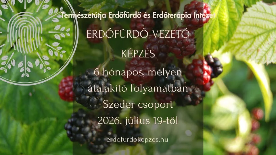 ERDŐFÜRDŐ-VEZETŐ KÉPZÉS: Szeder csoport