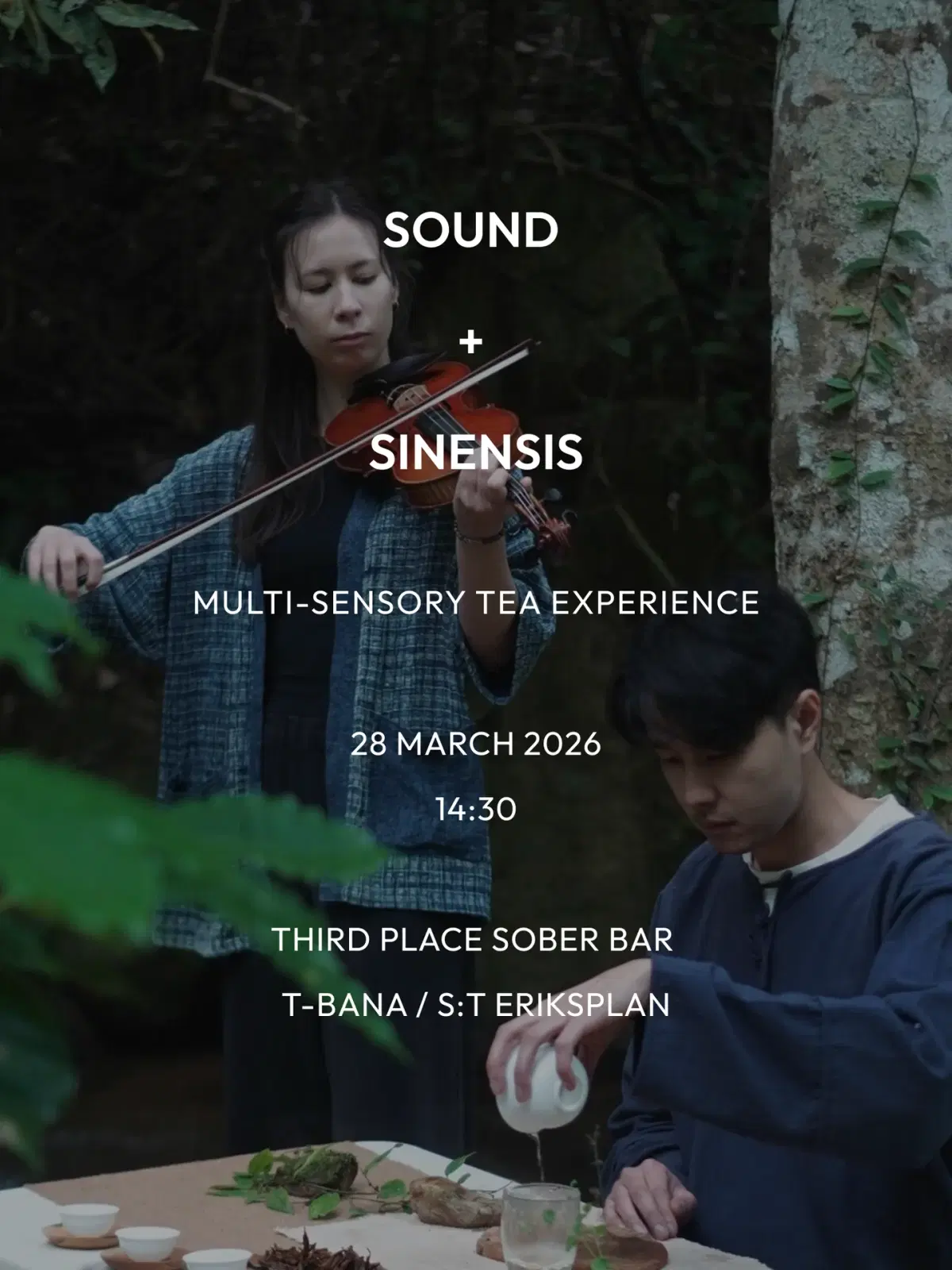 SOUND + SINENSIS : Ambient Strings and Tea Experience