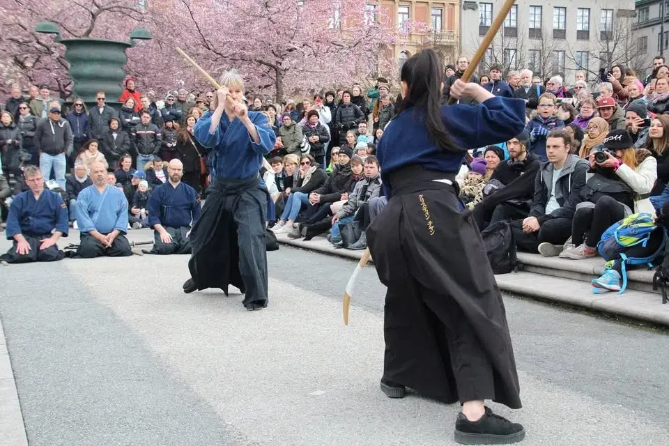 Sogo på Körsbärsblommans dag
