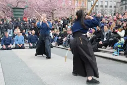 Sogo på Körsbärsblommans dag