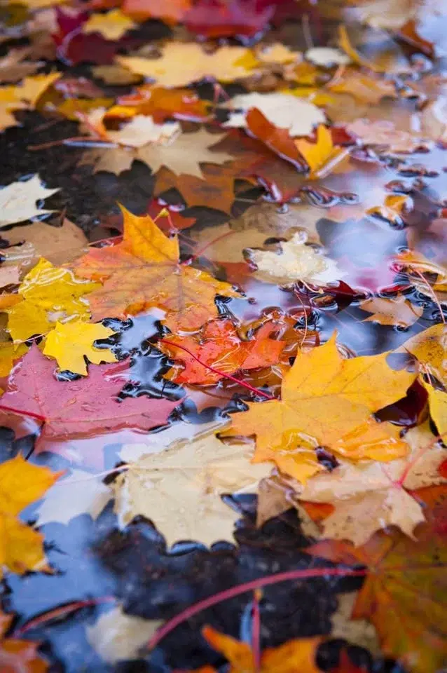 Dialogues in Youth Studies. Theories, Methodologies, Ethics.