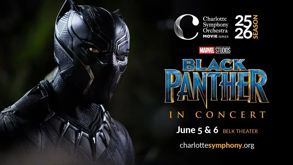Black Panther in Concert